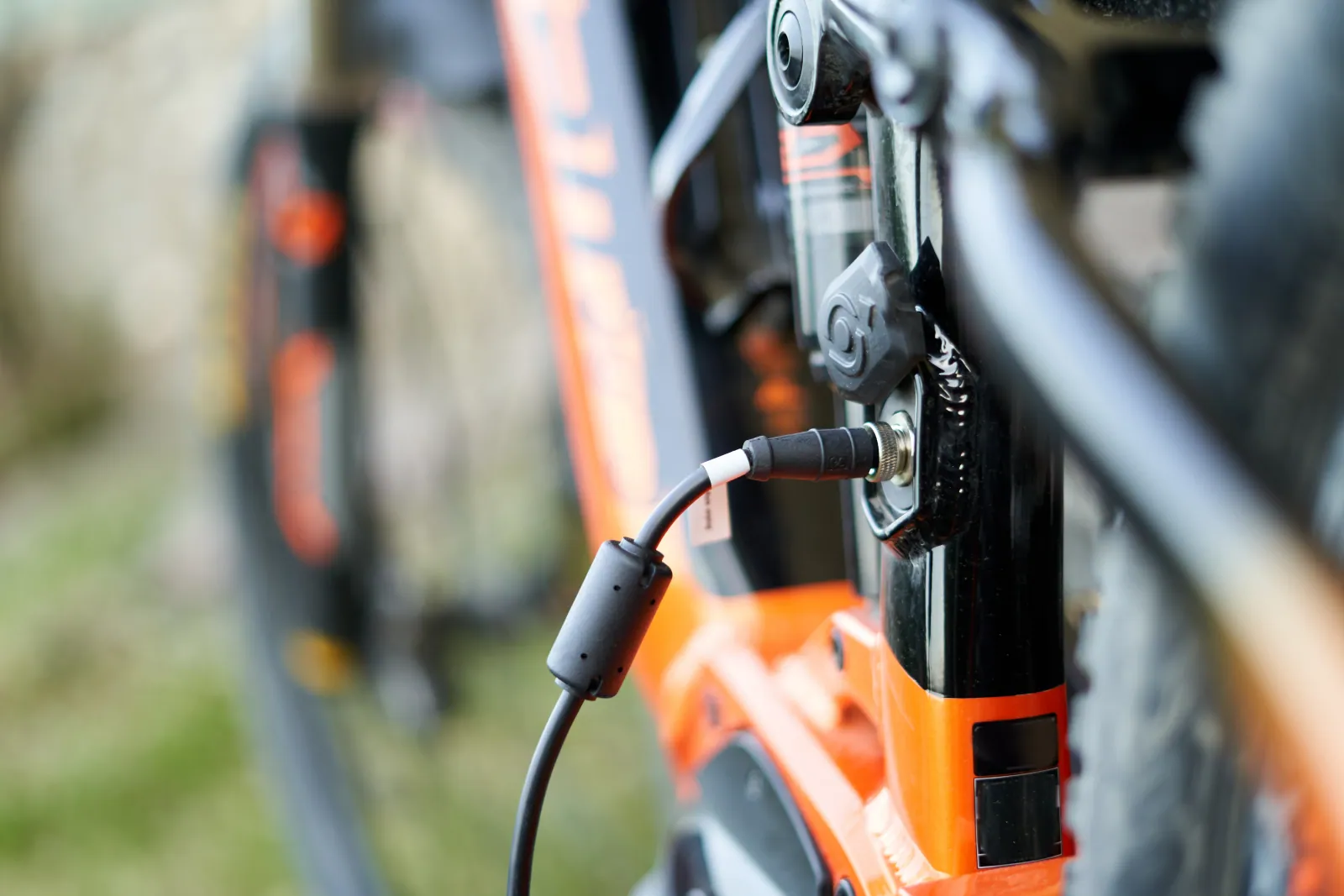 Cable lock and folding lock close-up, neutral surface ready for private-label branding