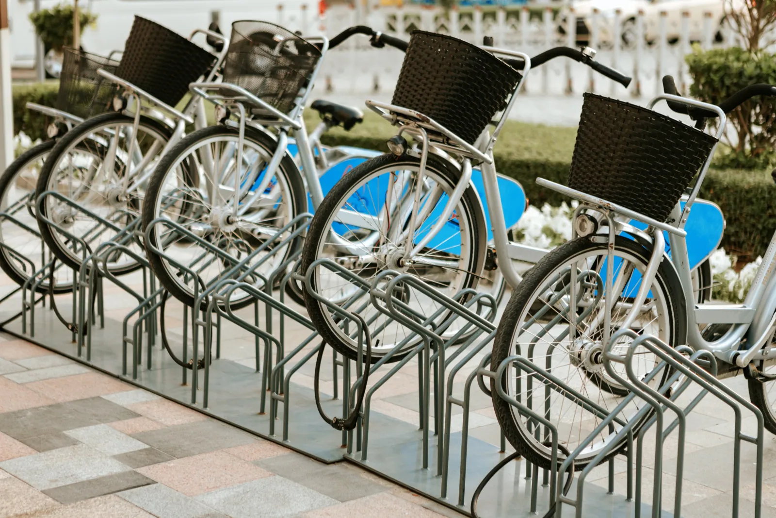 Professional workshop repair stand, home folding stand, retail display stand with a bike, and an indoor trainer stand arranged together